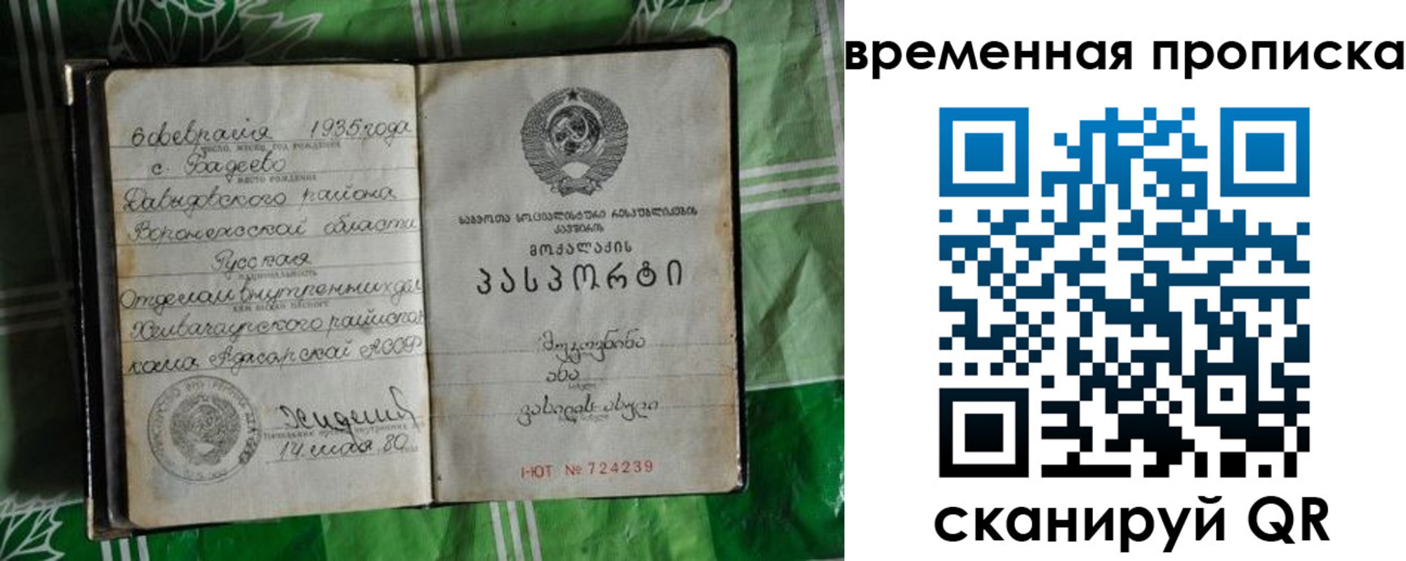 прописка в Губахе